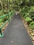 Natural greeny foothparth in forest, hong kong