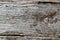 Natural grey shabby wood background