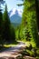 natural habitats mountains forests scenic trails generated by ai