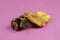 Natural healthy treats for dogs of premium quality. Dried beef stomach, buffalo tripe on a pink background