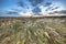 Natural heathland landscape with grass vegetation