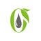 natural herb oil logo design with leaf and oil drop symbol vector illustration