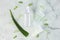 Natural herbal cosmetic product, gel with aloe vera extract for skin care. healing, healthing moisturizing serum on marble