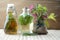 Natural herbal tinctures medicine