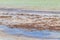 Natural Holbox island beach sandbank green turquoise water waves Mexico