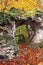Natural hole on rock in autumn forest