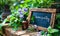 Natural homeopathy concept with an essential oil dropper, healing herbs, and a chalkboard sign nestled in a lush garden setting