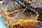 Natural honey for breakfast, suitable honeycomb honey close-up images for advertising,