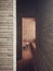 Natural interior of rooms with brick walls and wooden floor. Minimalism. Wooden furniture and metal lampshade