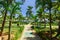 Natural inviting view of hotel grounds with tropical garden on sunny nice day