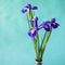 Natural iris flowers on green textured background