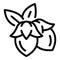 Natural jojoba icon, outline style