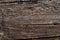 Natural knotted brown weathered wood plank texture