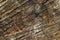 Natural knotted brown weathered wood plank texture