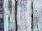 Natural knotted gray weathered wood plank texture background for creativity