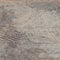 Natural knotted gray wood plank texture and surface. Weathered w