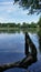 Natural Lake With Plants And Reflection