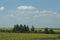 Natural landscape of the area. Flowering fields of sunflower .