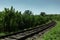 Natural landscape background. Railroad through green forest in sunny day.