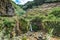 Natural landscape in the forest with waterfall in Achadinha, SÃ£o Miguel - Azores PORTUGAL