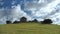 Natural landscape of huge stones on a green flat meadow