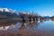 Natural landscape image of famous willow tree row in Glenorchy, South Island, New Zealand