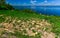 Natural landscape, a labyrinth of shell stones on the shore of the Khadzhibey estuary