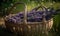 Natural landscape, lavender in a basket in a field.