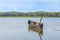 Natural landscape with moored old fishin boat on the shore of lake. Summer holiday and vacation. Fishing concept Nature