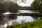 Natural landscape overlooking the overgrown bank on the river