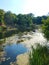 Natural landscape. A pond in a quiet secluded location