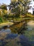 Natural landscape. A pond in a quiet secluded location