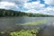 Natural landscape with river, trees and sky