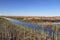 Natural landscape of a small wetland