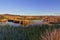 Natural landscape of a small wetland