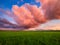 Natural landscape during sunset. Huge pink cloud and blue sky. Field and meadow. Huge cloud in the sky after a storm.
