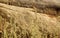 Natural landscape tropical forest grass and hill rocks.