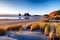 Natural landscape of Wharariki Beach in New Zealand during sunset