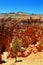 Natural landscapes, Bryce Canyon National Park