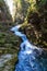 Natural Landscapes in the Forest, River and Waterfall in Vintgar Gorge near Bled Lake, Slovenia