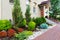 Natural landscaping in home garden