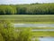 Natural lanscape width marsh Biebrza river in Poland. National Park.
