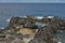 Natural lava Pools at water`s edge, Lava beach