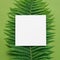 Natural layout made of fern leaf and paper card note over green background