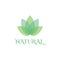 Natural Leaf logo design template spa & esthetics