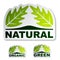 Natural leaf stickers