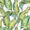 Natural leaves exotic watercolor seamless pattern