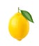 Natural Lemon fruit with green leaf