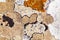 Natural limestone rock texture pattern with lichen