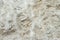 Natural limestone surface shell stone, shell rock, background